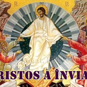Oferta de Paste